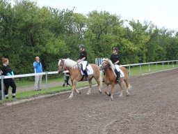 img_9379_web